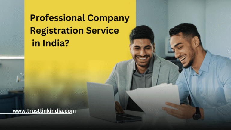 Benefits of Hiring a Professional Company Registration Service in India
